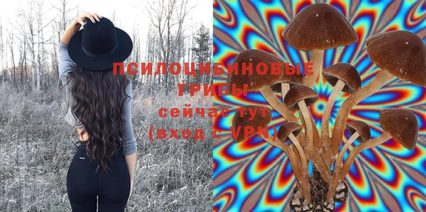 соль курить ск Осинники