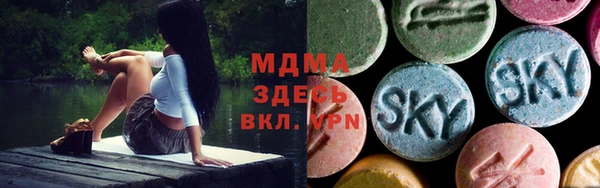 индика Пересвет