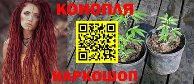 стаф Апшеронск