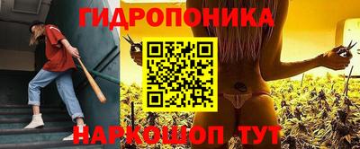 шишки Абакан