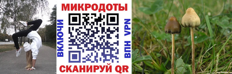 Галлюциногенные грибы GOLDEN TEACHER  ОМГ ОМГ вход  Астрахань 