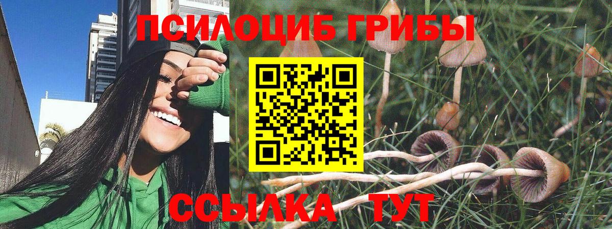 Астрахань  Псилоцибиновые грибы Magic Shrooms  Вход с VPN 