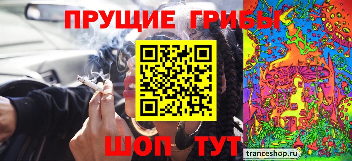 Псилоцибиновые грибы Psilocybine cubensis Астрахань